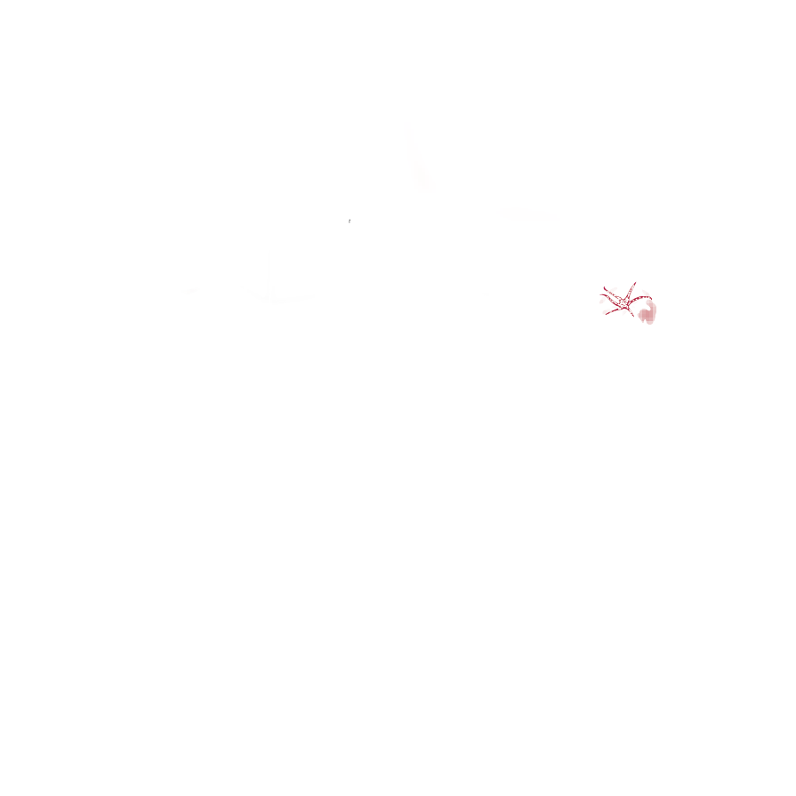 specialità brunaldo- alimentari castelnuovo val di cecina- logo trasparente